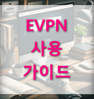 evpn사용가이드