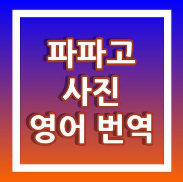 파파고-사진-영어-번역