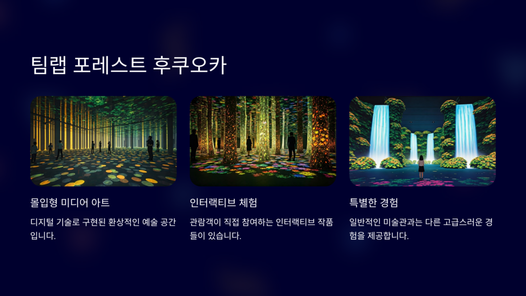 팀랩-포레스트