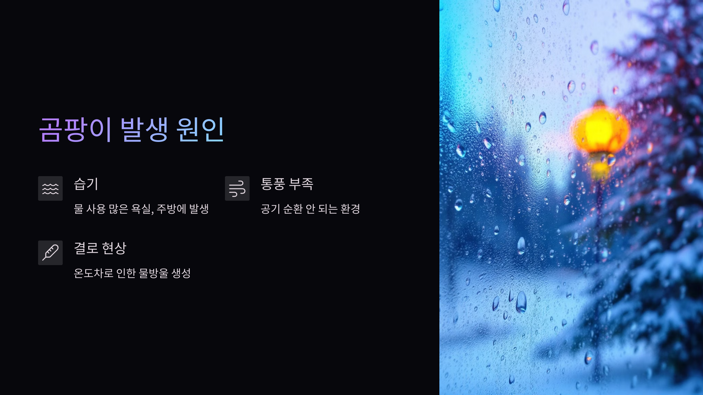 곰팡이발생원인