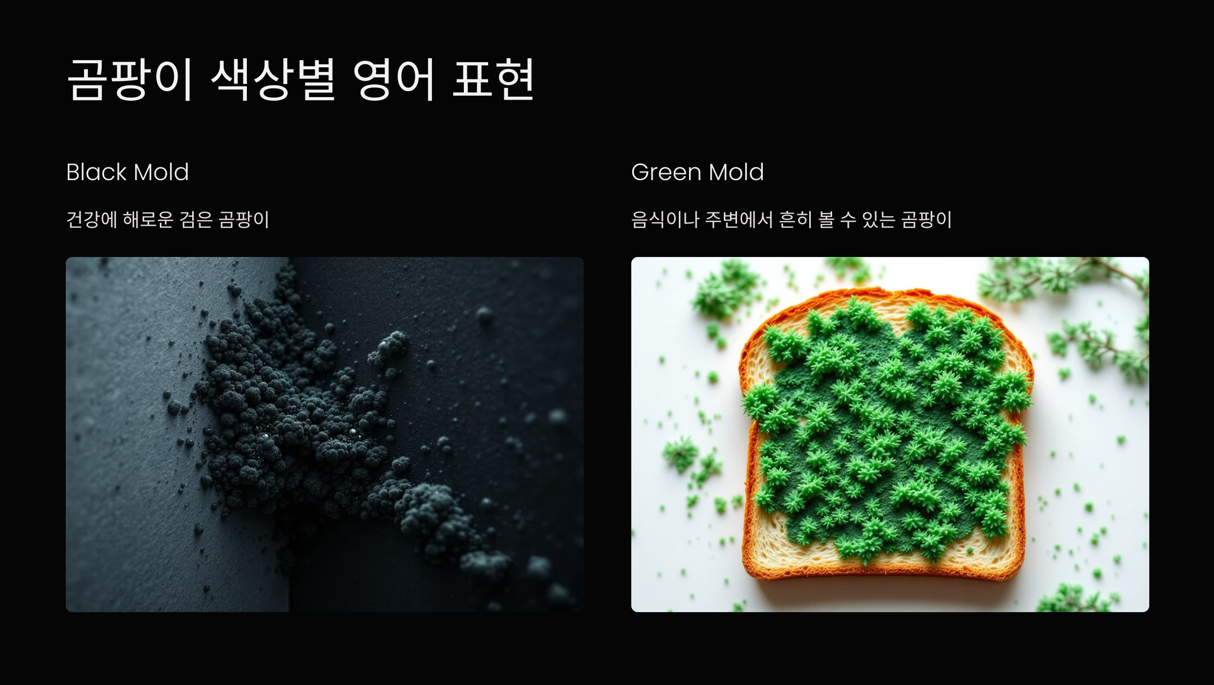 색상별영어