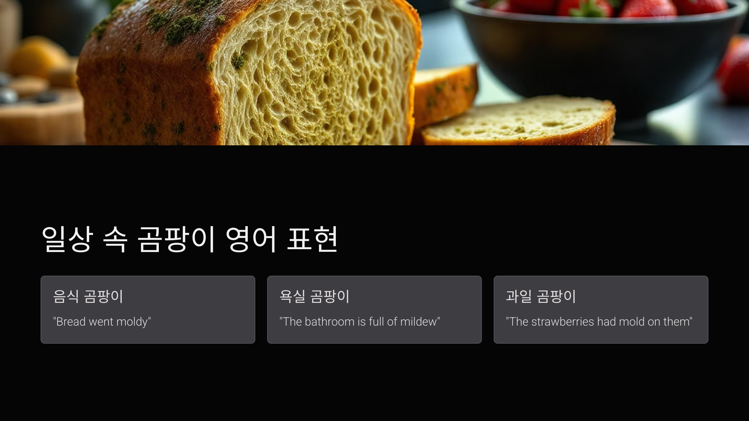 일상표현