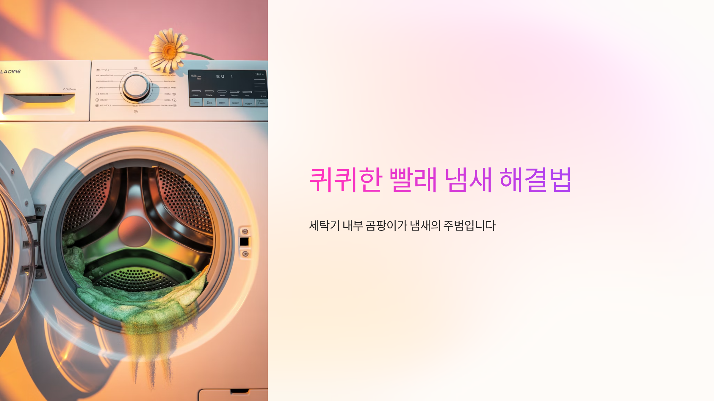 빨래냄새